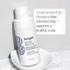 Briogeo Scalp Revival Charcoal + Biotin Dry Shampoo | Non-Aerosol Powder for Oily Roots | Detoxifying Dry Shampoo for All Hair Types | Vegan & Cruelty Free | 1.7 oz.