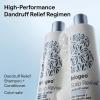 Briogeo Scalp Revival Dandruff Relief Shampoo | Charcoal + 3% Salicylic Acid | Daily Anti-Dandruff Shampoo for Flakes, Itching & Irritation | Color-Safe | Vegan & Cruelty Free | 8.4 oz