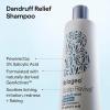 Briogeo Scalp Revival Dandruff Relief Shampoo | Charcoal + 3% Salicylic Acid | Daily Anti-Dandruff Shampoo for Flakes, Itching & Irritation | Color-Safe | Vegan & Cruelty Free | 8.4 oz