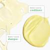 Briogeo Superfoods Banana + Coconut Hair Pack, Replenish Dull, Dry Hair and Supports Healthy Hair and Scalp, Moisturizing for All Hair Textures, Hydrating Cleanse, Vegan, Cruelty-Free, 2 x 12.5 fl oz(Multicoloured)