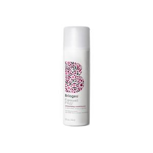 Briogeo Farewell Frizz Smoothing Conditioner, Tame Frizz and Restore Shine to Dull, Dry Hair, Nourishes and Smooths, Argan Oil for Shine, Vegan, Cruelty-Free(8 Fl Oz (Pack of 1))