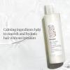 Briogeo Be Gentle, Be Kind Aloe + Oat Milk Ultra Soothing Shampoo + Conditioner Bundle | Hypoallergenic, Fragrance‑Free Care for Sensitive Scalp | Vegan, Silicone‑Free | 2 x 8 fl oz